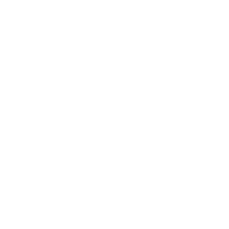 Brand Icon