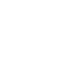Leads Icon